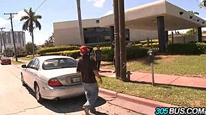 we joined abella anderson ava addams spanish orgy fuckfest