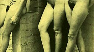 ever wonder about vintage orgy hairy pussy blowjobs?