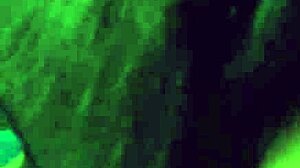 Rotten Venus tapes paola hard for barefoot foot worship and gagging deepthroat