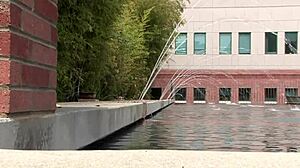 Horny milf librarian Brooke Haven spreads shaved pussy wide for deep anal fingering