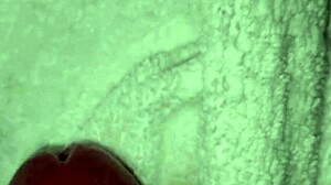 ansima moans spits on huge cock slow intense handjob cumshot