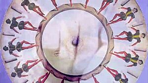 discover vintage erotic art from retro hairy era