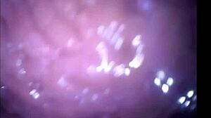 girl cums... filmed from INSIDE her vagina secretfriends com