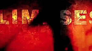 ever wonder about vintage orgy hairy pussy blowjobs?