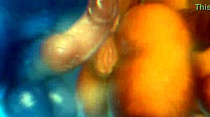 Furry Zonkpunch Edit Unleashes Wild Sexy Action