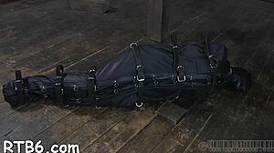 lusty babe bound in bdsm sucks cock hard before kinky facial cum torment
