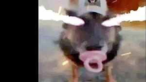 Athletic black babe bent over doggystyle in wild outdoor pounding