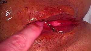 pink shaved pussy 356 days post virginity closeup