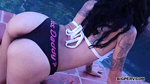 Big butt draya dare shakes thick ass poolside