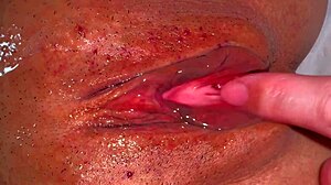pink shaved pussy 356 days post virginity closeup