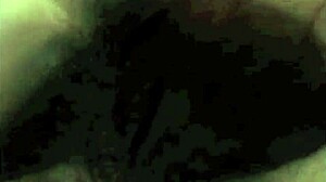 vintage diaries hide english gentleman's hairy beaver blowjob bizarre secrets