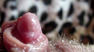 huge clit throbs wildly during intense rubbing and squirting orgasm