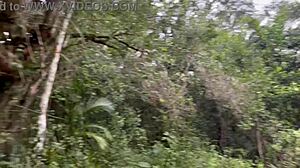 i spy ruivas shibarista fetish episode one