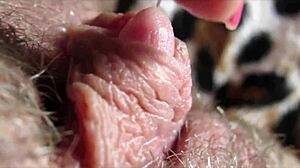 huge clit throbs wildly during intense rubbing and squirting orgasm