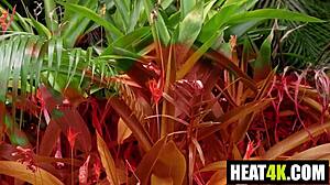 gotham greenhouse parody melanie hicks ace bigs milf orgy