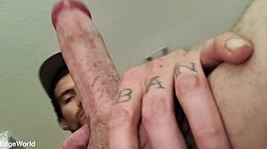 crush this juicy monster cock what would you do