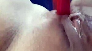 Amateur Teen Fingers Pussy And Toys With Dildo Solo