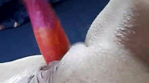 Amateur Teen Fingers Pussy And Toys With Dildo Solo