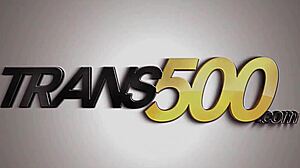 Transsexual rides cock for anal fuck