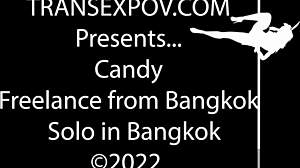 TransexPov Candy Begs You to Suck Her Pulsing Sweet Shemale Cock