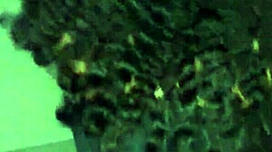 pov creampie petite brazilian tattooed babe sits on cock no netflix needed