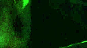 artemisia flashes big tits nipples smokes in car hey check site