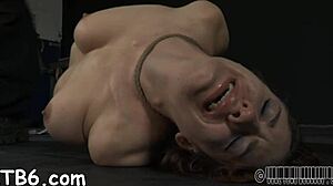 what if this horny couple's rough domination turns into total cunt destruction?