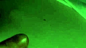 i undress my chubby wife and play with her tits