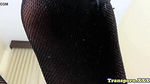 bigbooty tranny strokes herself in lingerie solo