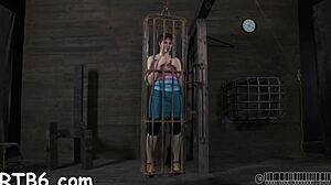 s&m contest blowjobs doggystyle pussy poses