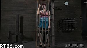 s&m contest blowjobs doggystyle pussy poses