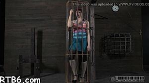 s&m contest blowjobs doggystyle pussy poses