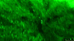 Ebony swingers tape hot mirror creampie action