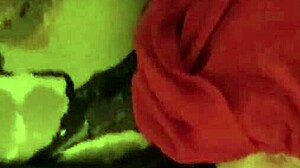 sexy fitness wife in stockings debuts homemade lingerie pov fuck 😏