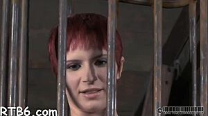 s&m contest blowjobs doggystyle pussy poses