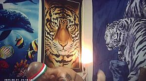 Maxxx Loadz pounds hot Asian pussy backstage at porn shoot.