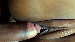 Petite Babe Split Open Doggy-Style by Monster BBC Creampie