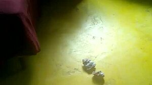 what's your cousin hiding in part 2?