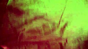 what's your cousin hiding in part 2?