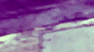 Short Girl's Phat Ass Candid Hidden Capture