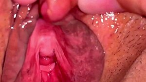 amateur shaved pussy closeup 113 days post-virginity loss