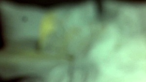 blair's pov casting with skinny tattooed brunette anal suck fuck