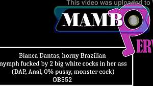 bianca dantas, ever taken two monster white cocks dap anal atm with no pussy play?