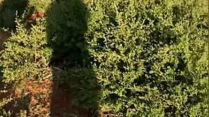 ebony teen homemade creampie compilation big cock pounding