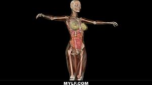 Nerd's ultimate milf fantasy threesome shower with Mercedes Carrera!