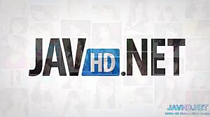 Japanese Asian MILF Hardcore Blowjob Compilation Volume 6