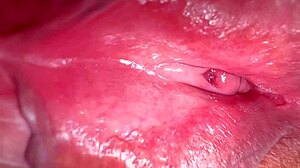 Amateur Wife's Shaved Pussy 336 Days Post-Virginity Loss