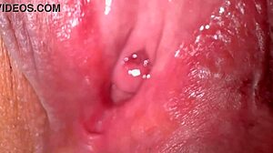 Amateur Wife's Shaved Pussy 336 Days Post-Virginity Loss