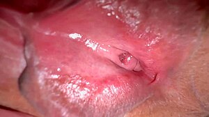 Amateur Wife's Shaved Pussy 336 Days Post-Virginity Loss