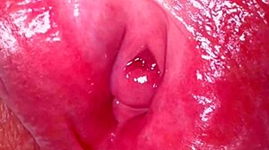 Amateur Wife's Shaved Pussy 336 Days Post-Virginity Loss